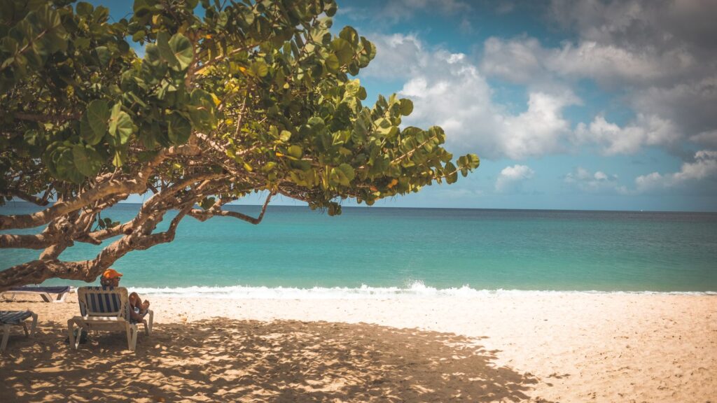 Best eSIM for Caribbean Travel (2026): One Plan, Many Countries