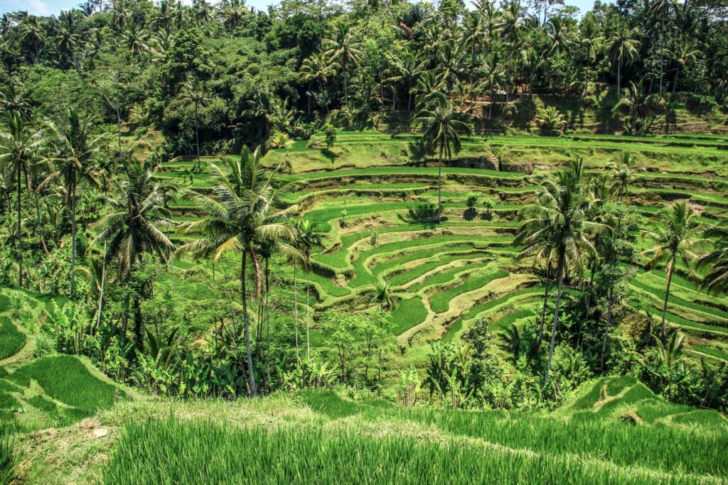 Indonesia travel — eSIM data plans
