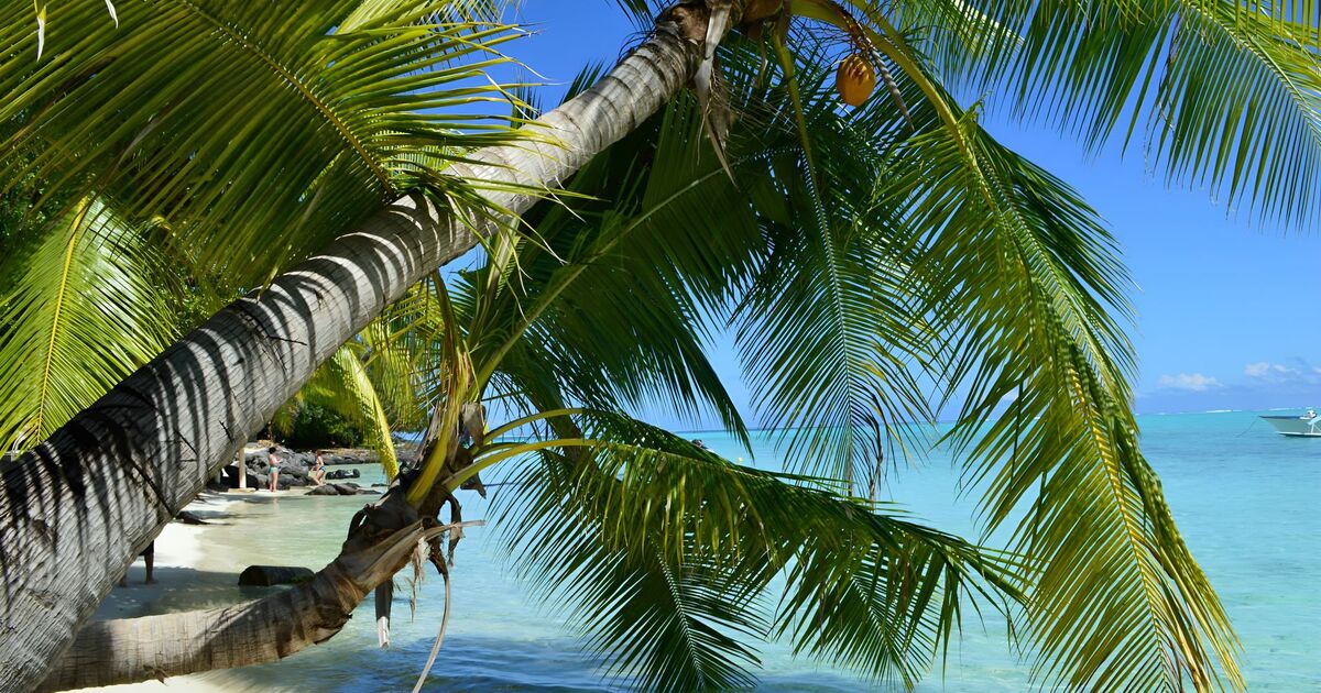 French Polynesia eSIM data plans