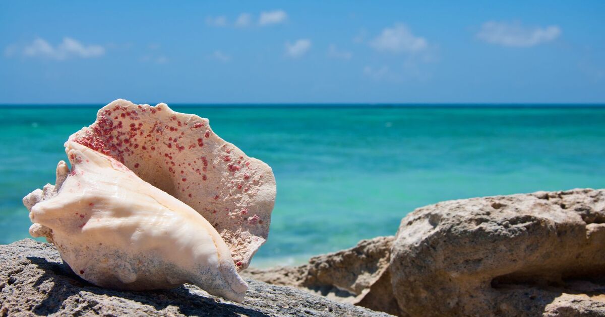 Turks and Caicos Islands eSIM data plans